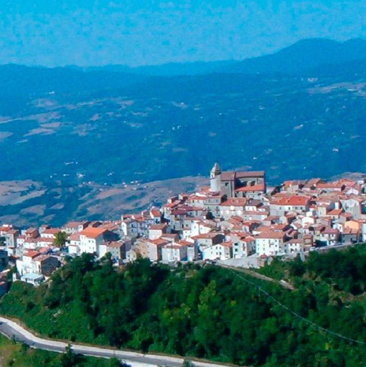contatti